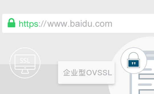 企业型 OV SSL证书